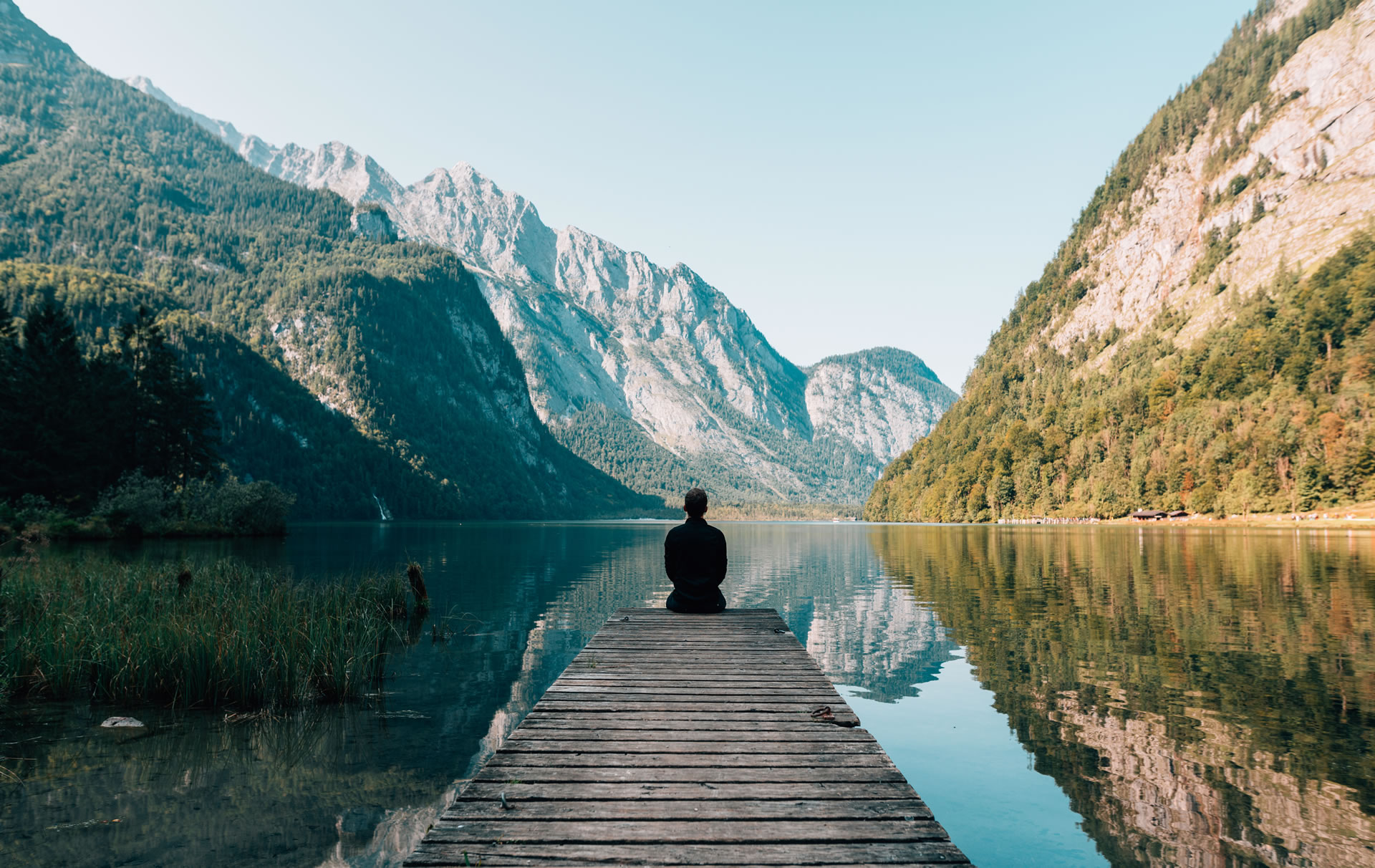 大鱼的星辰大海